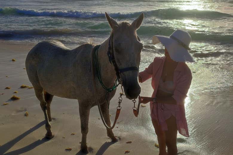 Make a new horse best friend!