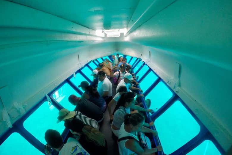 En la cabina de observación submarina