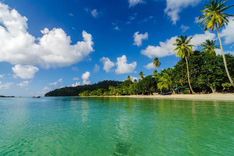 La côte de l'île de San Andrés depuis le catamaran
