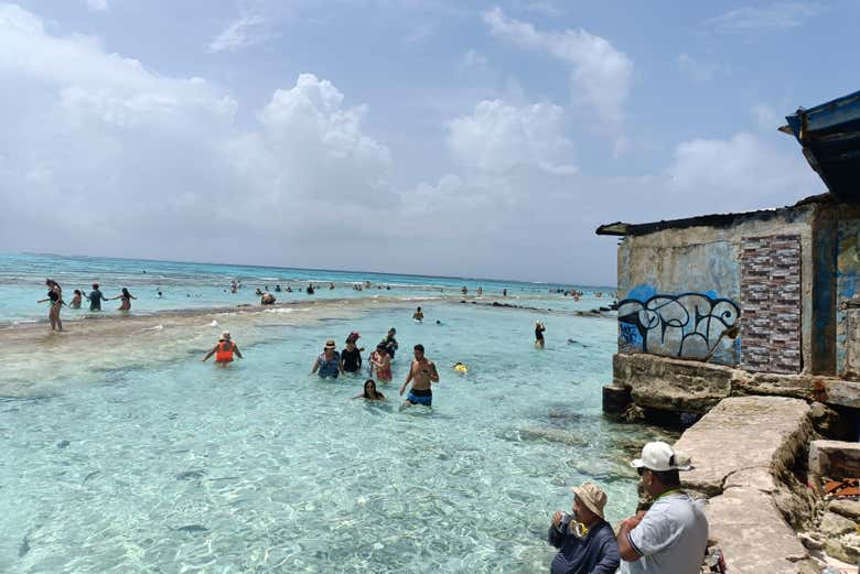 Disfrutando de las aguas cristalinas poco profundas 