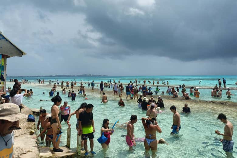 Todos disfrutando de Cayo Acuario