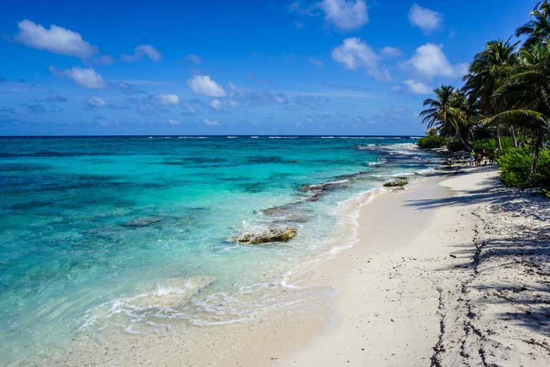 See one of the stunning beaches on Johnny Cay