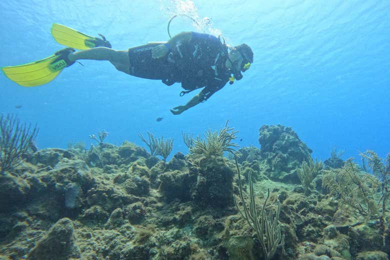 Mergulhando pela primeira vez em San Andrés
