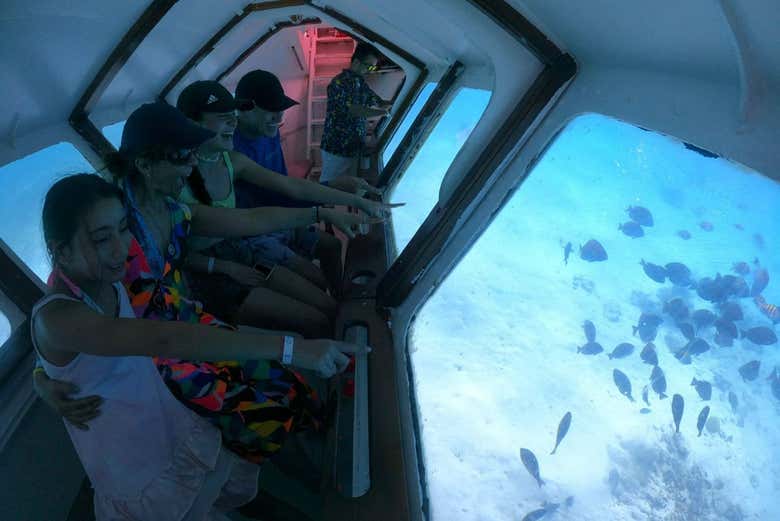 Um passeio ideal para famílias!