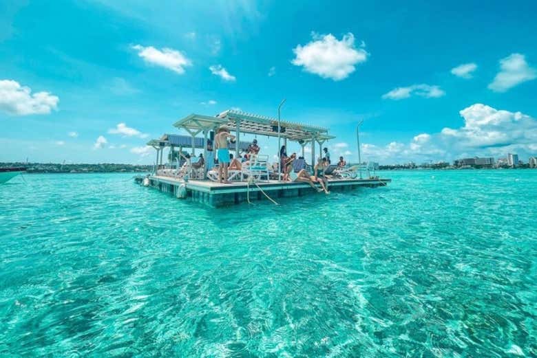 Um paraíso para desfrutar do bar flutuante Ibiza