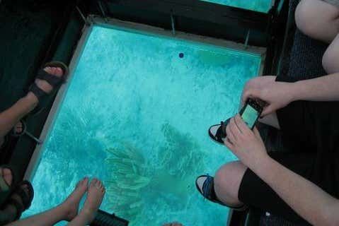 Observing the seabed from the boat