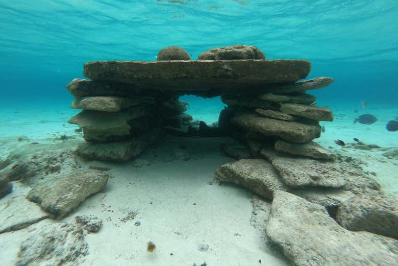 Explore the underwater world of San Andrés