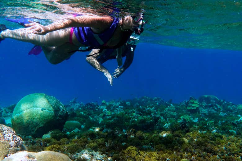 Snorkelling through the stunning waters