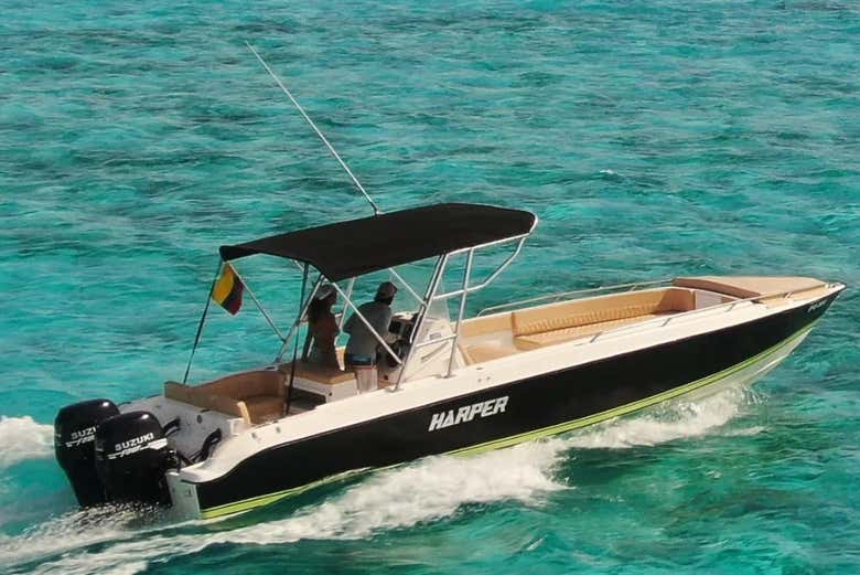 Learn about the mangrove forests from the comfort of the boat