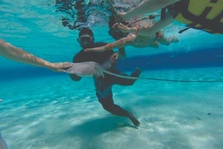 Swimming with manta rays