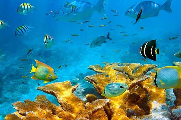 The waters of Cayo Acuario
