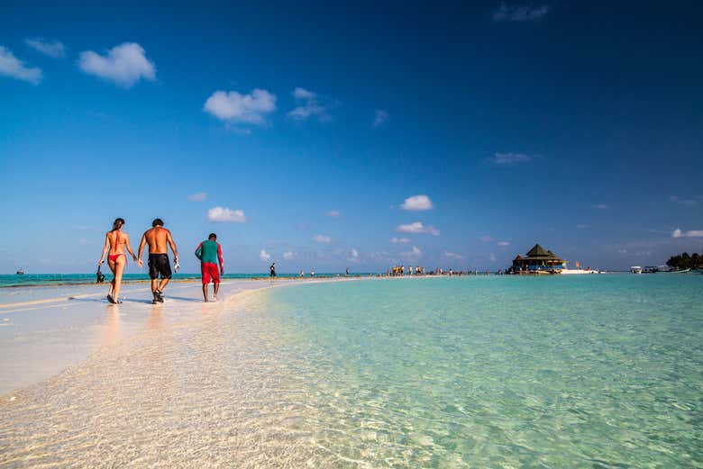 Enjoy a walk in paradise!