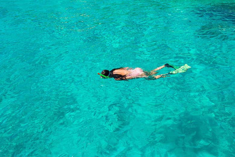 Você vai adorar fazer snorkel em San Andrés!