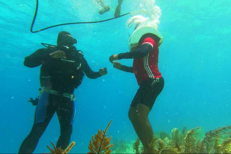 Una experiencia segura y divertida