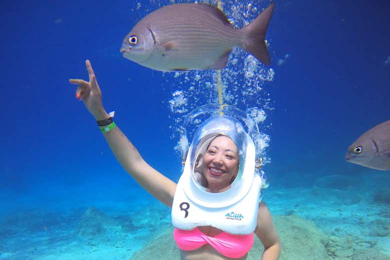 Você poderá tirar as melhores fotos