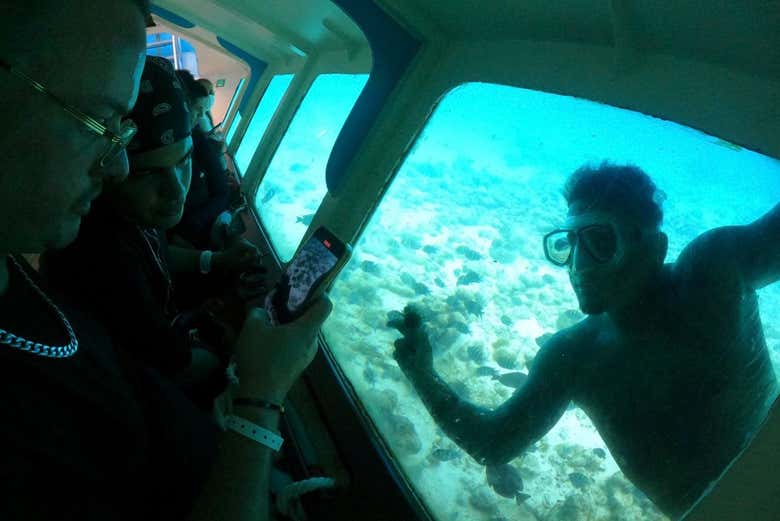 Você poderá praticar snorkel