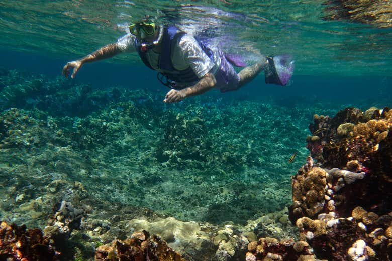 Time to snorkel!