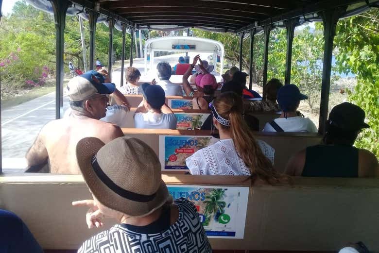 Interior del tren turístico