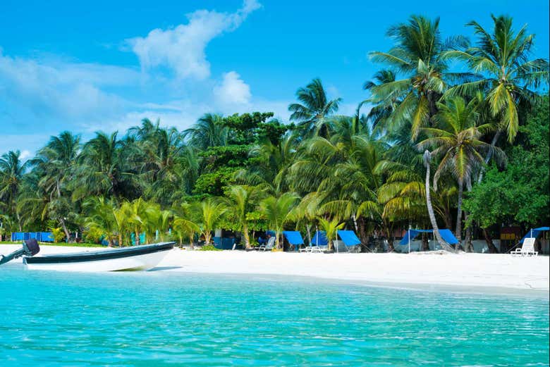 Um verdadeiro paraíso!