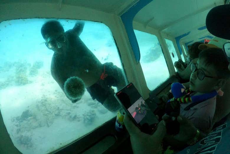 Descobrindo a vida marinha de San Andrés