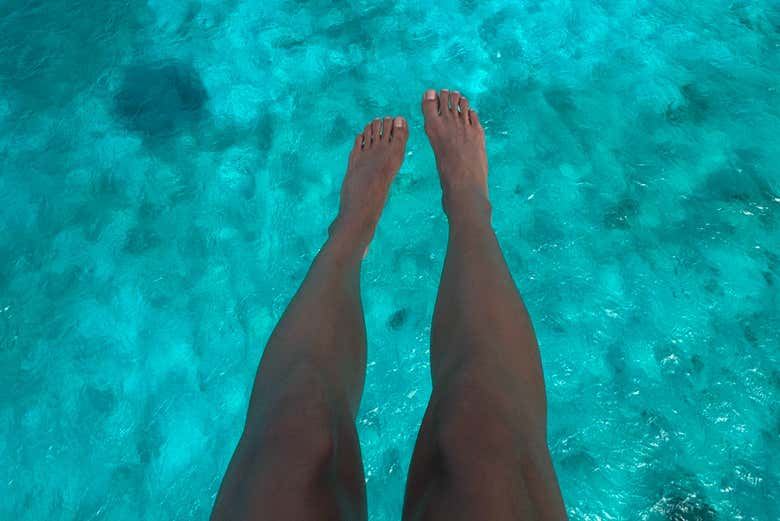 Voando sobre as águas