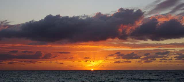 Paseo en barco al amanecer