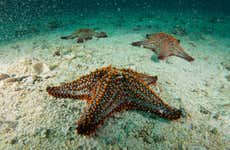 Seawalker en San Andrés