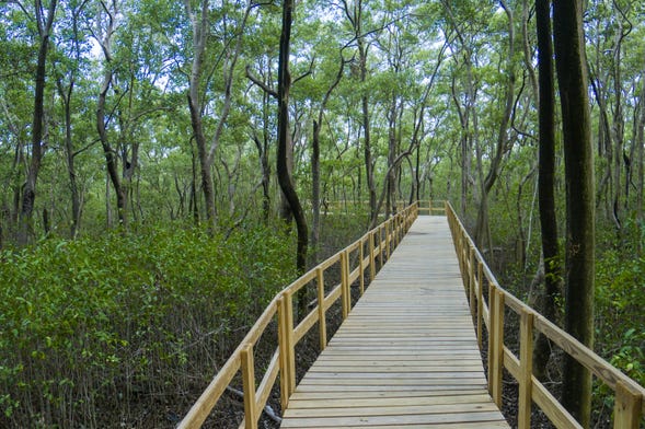 Tour de caiaque pelos manguezais de San Andrés