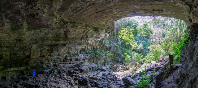 Cueva del Indio + Páramo Tour
