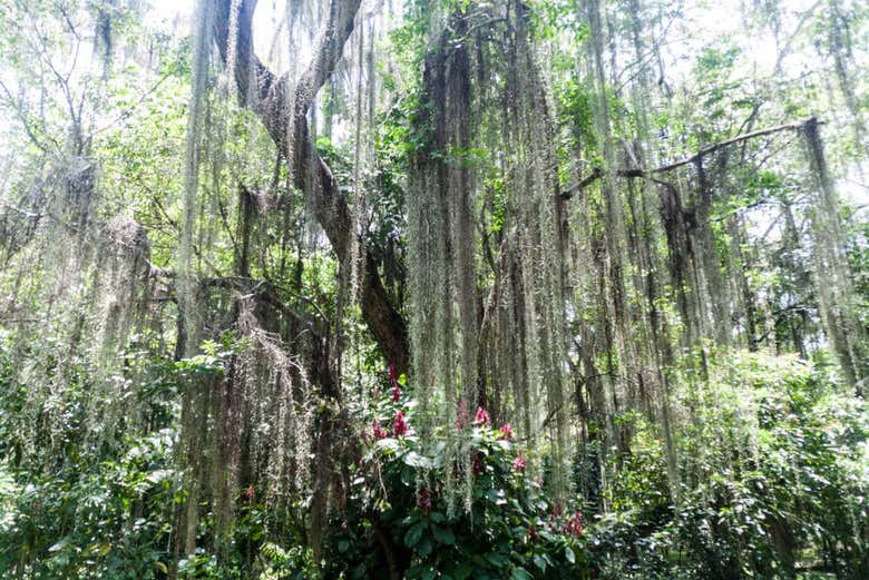 Beautiful nature