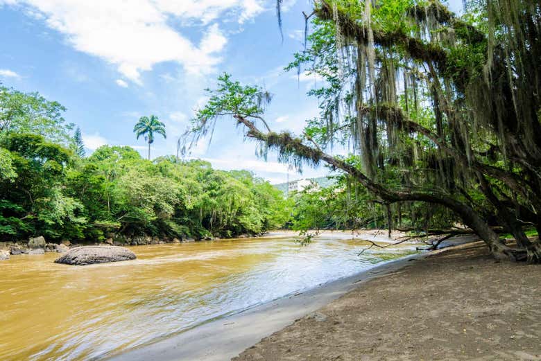 Fonce River
