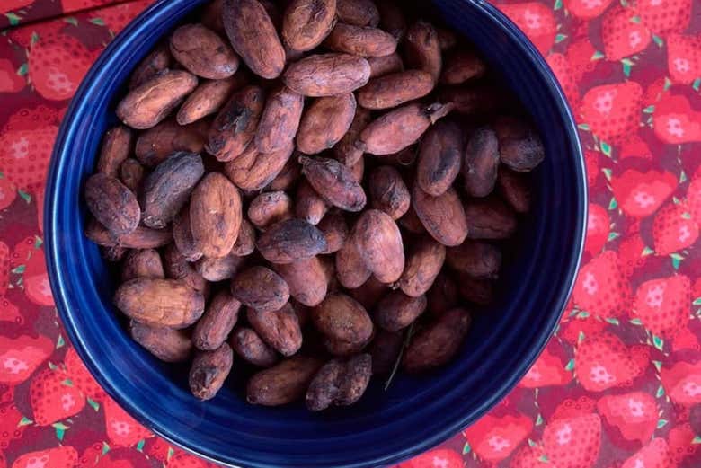 Aprendiendo sobre la fermentación y secado del cacao
