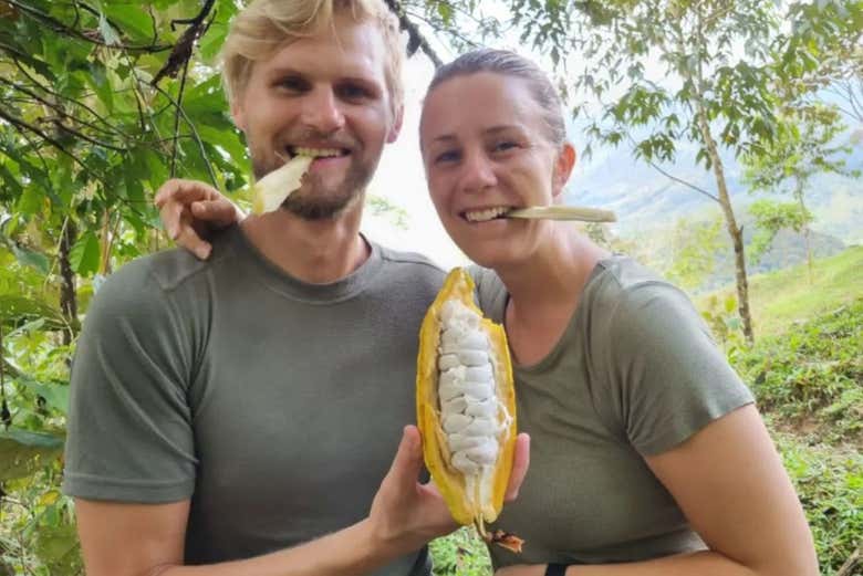 Degustando el fruto del cacao