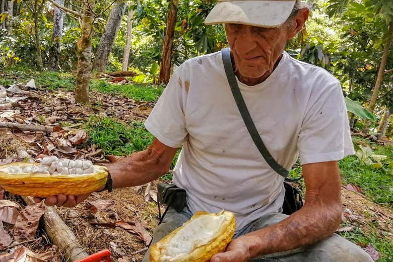 Aprendiendo sobre la tradición campesina
