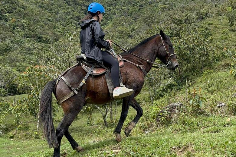 Caminos en las montañas de Guatapé