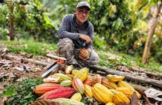 Visita a una finca de cacao