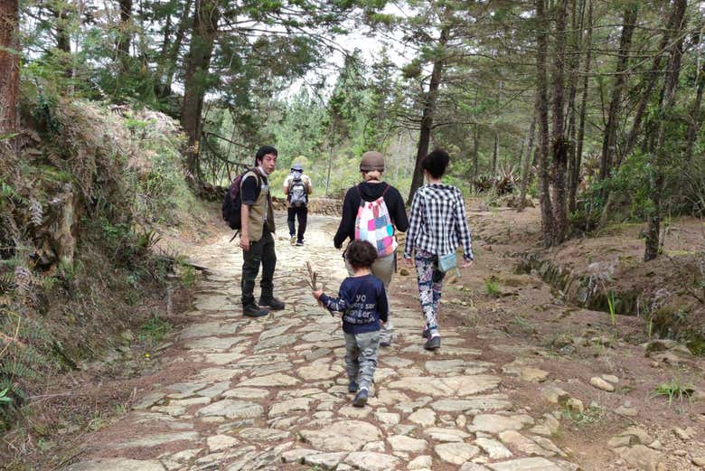 Trekking up Sugarloaf Hill!