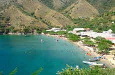 Excursión a Bahía Concha