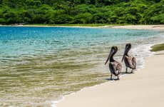 Excursão de lancha às praias do Parque Tayrona em grupo reduzido