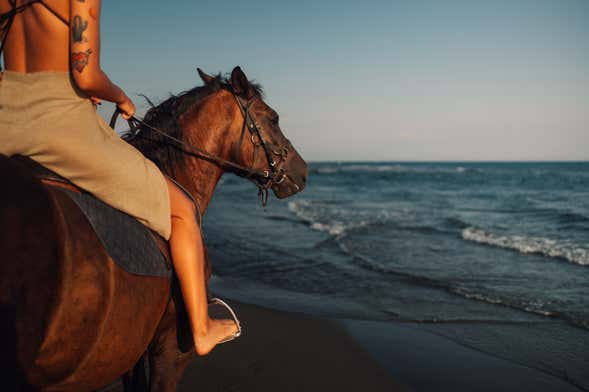 Excursión a las playas Los Cocos y Los Naranjos + Paseo a caballo