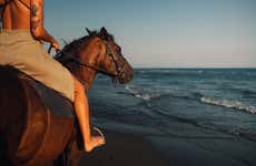 Excursión a las playas Los Cocos y Los Naranjos + Paseo a caballo