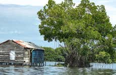 Excursão aos povoados palafitas de Ciénaga