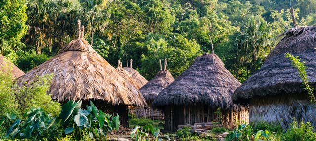 Excursion à Taironaka
