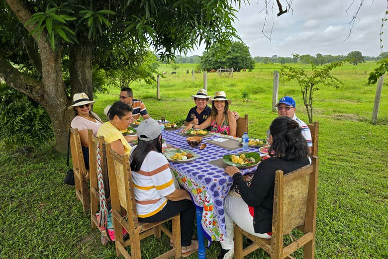 Un almuerzo rodeados de naturaleza