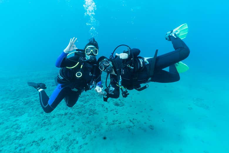Descubriendo el fondo marino de Taganga