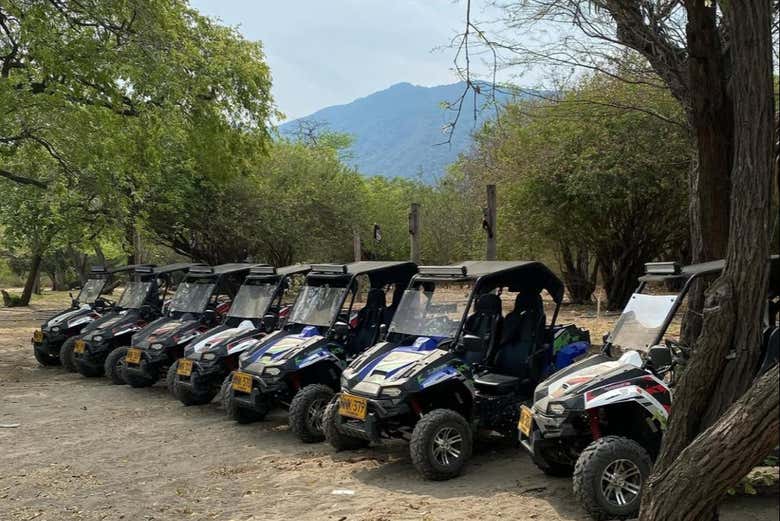 Los buggies listos para el recorrido
