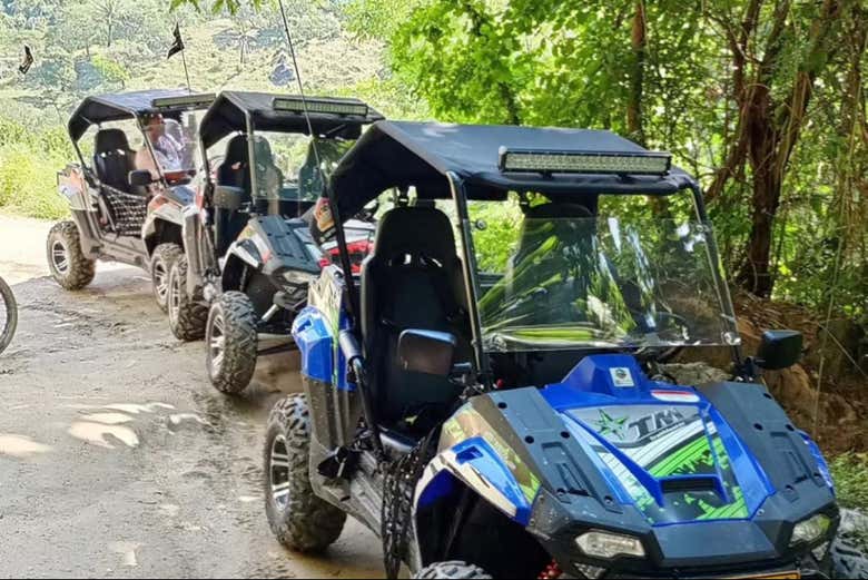 ¿Listos para conducir estos vehículos?