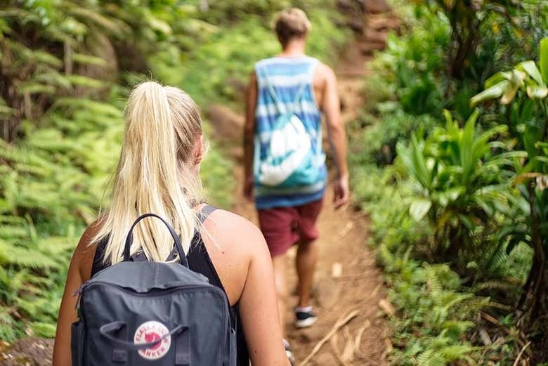 Hiking in nature