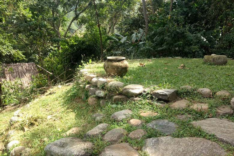 Camino de piedras en el Parque Taironaka