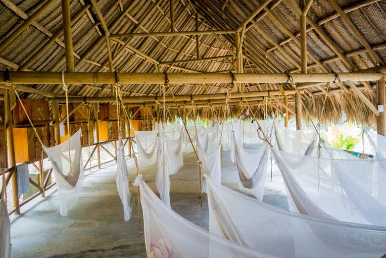 Campamento estándar en la Ciudad Perdida